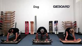 Dog Exercise Demonstration on a GiBoard Balance Board