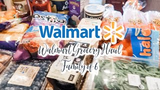 WALMART GROCERY HAUL I FAMILY OF 6 I Samantha Greenwalt