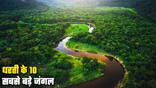 धरती का सबसे बड़ा जंगल कौन सा है? Top 10 Largest Forests in the World