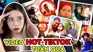 Câu Chuyện Đáng Thương Về Chú Khỉ Travis và Đám Cưới Zombie Hot Tiktok | Nhinhi Creepy