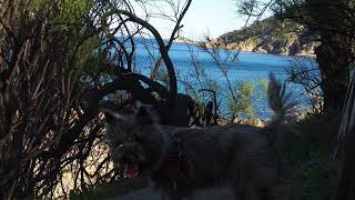 Sentier du littoral Ramatuelle