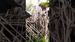 Rumah Pohon di tengah hutan #travelvlog #personalvlog #indonesia #pesonaindonesia #hutanangker