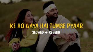 Ke Ho Gaya Hai Tumse Pyar Sun Le - Slowed and Reverb | Aesthetic Dude 🎧