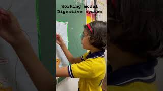 Working model by little scientist #kvs_prt #science #model #shorts #youtubeshorts