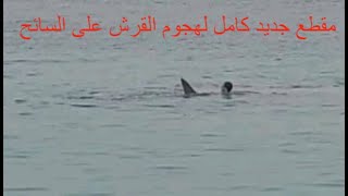 🔴مقطع جديد صادم لهجوم سمكة القرش على السائح الروسي في الغردقة بمصر shark egypt hurghada shark