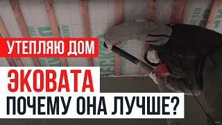 Эковата. Что за зверь и стоит ли ее использовать?