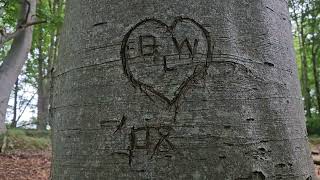 dunideer hill entrance engraved tree markings