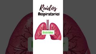 Ruidos respiratorios 🫁