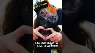 SUBSCRIBE NOW FOR LIVE!!!!!