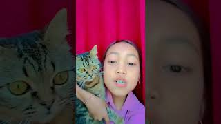 Bersama kucing aku aming