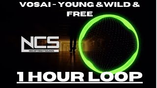 Vosai - Young & Wild & Free [NCS Release]