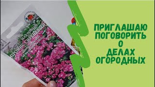 Приглашаю поговорить о делах огородных