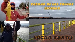 PARANA DE LAS PALMAS JULIO 2022-ESCOBAR- LOS PESCADORES-LUGAR GRATAROLA #pesca #lospescadores