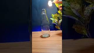 Simple Bottle Experiment With Sanitizer | Science Tricks | Science Experiment | #shorts #experiment