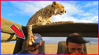 Damn Nature You Scary | Funny Scary Animal Encounters 2023😡