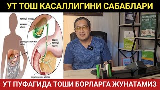 УТ ТОШ КАСАЛЛИГИ САБАБЛАРИ