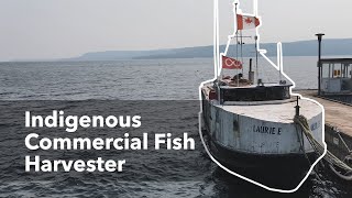 Perspectives on Asian Carp Prevention in Canada: Indigenous Commercial Fish Harvester