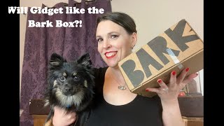 Opening December's Bark Box with Gidget!