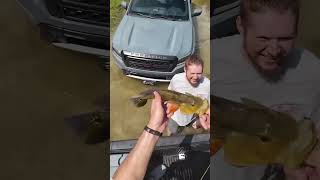 Catching fish IN THE ROAD?! #fish #fishing #florida #outdoors #bass #bassfishing #shorts