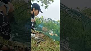 PASANG PERANGKAP IKAN DI DANAU PAKAI ROTI 😭 APA YANG TERJADI DI LUAR NALAR 😱#kakjeff #11