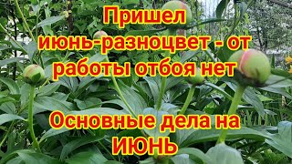 Основные дела на ИЮНЬ