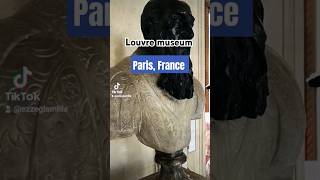 LOUVRE Museum 2024 PARIS FRANCE 🇫🇷 #shorts #paris2024 #ytshort #travel