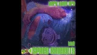 Space Krickets  - Don't Worry Be Happy (Bobby Mcferrin Cover)