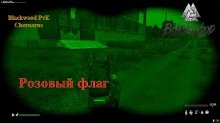 Blackwood PvE Chernarus   Розовый флаг