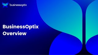 BusinessOptix Overview