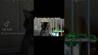 19 Year Old Cat Lives in Vegas