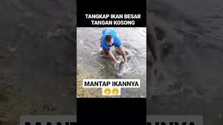 Mancing ikan mas jumbo