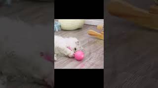 Led Light Smart Interactive Cat Toy Ball