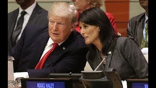 UN Ambassador Nikki Haley resigns | International News