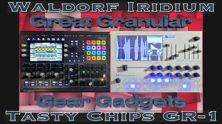 Great Granular Gear Gadgets - Waldorf Iridium vs Tasty Chips GR-1