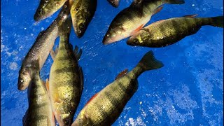 Garmin Livescope Greenbay WI Ice Fishing for Perch WIth Team IceHole