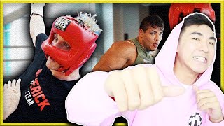 LOGAN PAUL GETS KNOCKED OUT BY UFC FIGHTER | REACTION