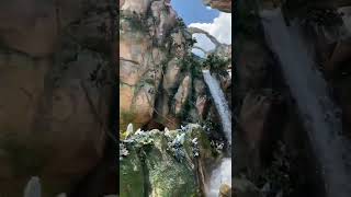 Little spin around #Pandora #TheWorldOfAvatar #avatar #animalkingdom #wdw #wdw50