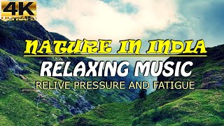 Nature In India (4K UHD) - Relaxing Music - Heals Stress, Anxiety And Eliminates Fatigue