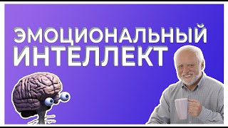 ЭМОЦИОНАЛЬНЫЙ ИНТЕЛЛЕКТ