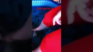 What fish clean your feet?T#shorts #youtuber #youtubeshorts