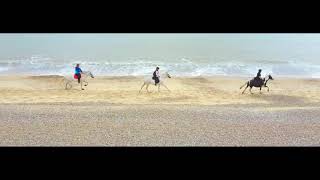 Horse riding with Pakefield riding school