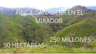 VENTA DE FINCA GANADERA EN BELÉN CAQUETÁ