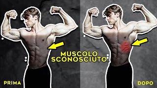 Come scolpire il muscolo dimenticato dal 90% delle persone (dentato anteriore)