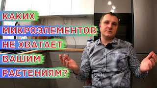 Дефицит микроэлементов у растений / Как визуально определить / Как вносить микроудобрения правильно