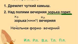 3 класс Морфологический разбор имени прилагательного