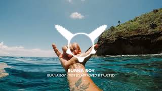 TESTED, APPROVED & TRUSTED - BURNA BOY