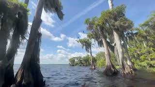 Blue Cypress Lake