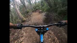 sidewinder trail Thredbo pt2