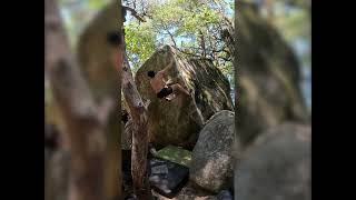 Nature Nazi Arete - V6 | Castle Rock State Park, CA