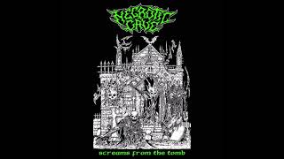 Necrotic Cave - Screams from the Tomb (FULL EP) (2021)